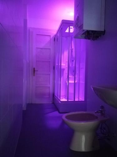 塔尔维西奥appartamento Florianca的浴室设有紫色照明、水槽和卫生间