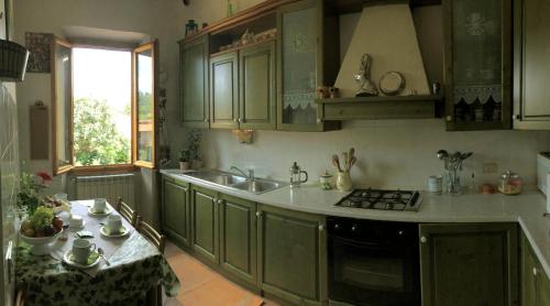 巴尼奥阿里波利Casa Martellina - Holiday Home的厨房配有绿色橱柜、水槽和桌子