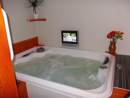 拜赖克菲尔德马克西鲁公寓的浴缸装满水,配有电视