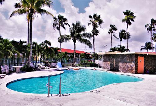 佛罗里达市佛罗里达市大沼泽地宅院航道旅馆的棕榈树度假村的游泳池