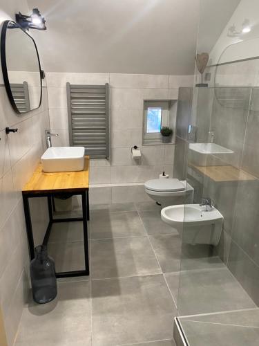 韦巴Pokoje gościnne EWELA的一间带水槽、卫生间和镜子的浴室