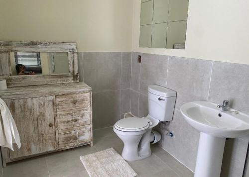 比勒陀利亚Lime Court two的浴室配有白色卫生间和盥洗盆。