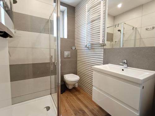 斯维诺乌伊希切Baltic Home Sienkiewicza 5的浴室配有卫生间、盥洗盆和淋浴。