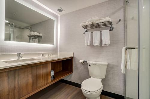 Holiday Inn Gatineau - Ottawa, an IHG Hotel的一间浴室