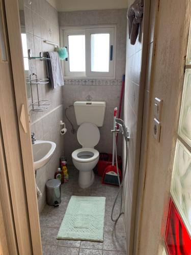 ElaiónAthena’s House的一间带卫生间和水槽的小浴室