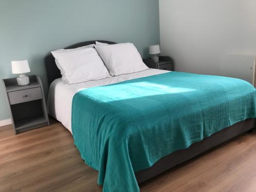 圣马洛APPARTEMENT NEUF ET BIEN SITUE AVEC UN CLASSEMENT的一间卧室配有一张带绿毯的床