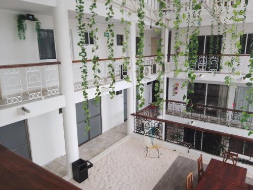 普拉亚卡门CASA BARKA的一座空的建筑,天花板上种植了植物