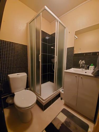 苏佩贝斯Bel appartement spacieux 44m² à SUPER BESSE pour 6 personnes的浴室配有卫生间、淋浴和盥洗盆。