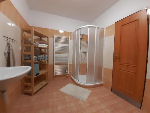 塞尔纳珀苏马维Černá v Pošumaví Apartmán的带淋浴和盥洗盆的浴室