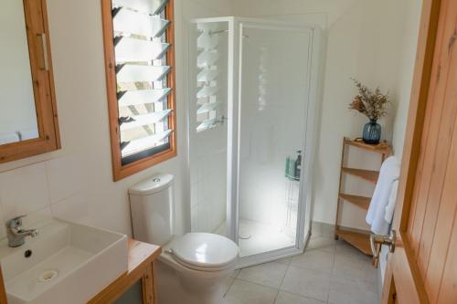 PomonaNoosa Rural Retreat的浴室配有卫生间、淋浴和盥洗盆。