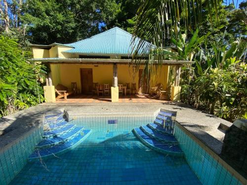 曼萨尼约Private Villa on 2-Acres of Jungle Garden & Pool的一座房子旁的游泳池,配有蓝色的椅子