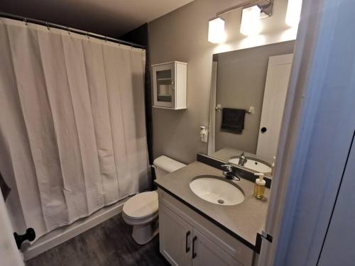伦敦Modern 1 bedroom apartment in Wortley Village的一间带水槽、卫生间和镜子的浴室