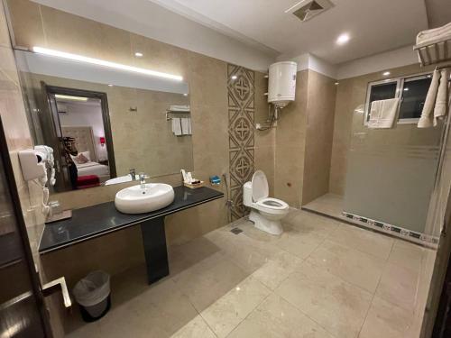 拉瓦尔品第Grand Mongolia Hotel的一间带水槽、卫生间和镜子的浴室