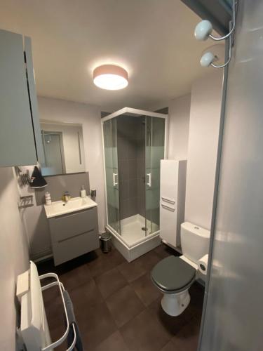 卡米尔斯Appartement T2 bis, 200m de la mer, très calme的带淋浴、卫生间和盥洗盆的浴室