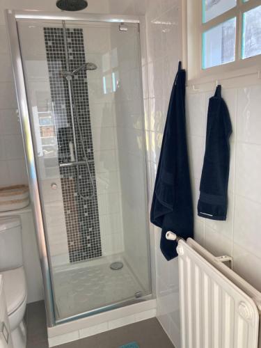 敦刻尔克Très bel appartement vue Mer - Les Ilots bleus - Dunkerque Malo les Bains的浴室里设有玻璃门淋浴