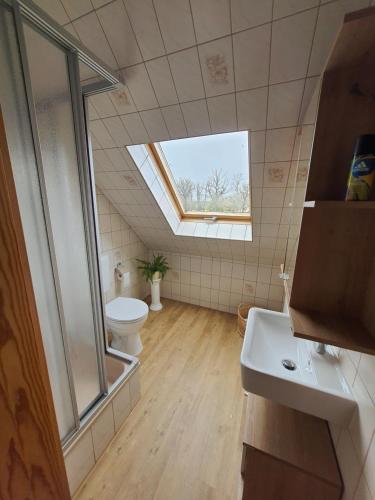 TauschaFerienhaus Am Pilgerweg的一间带卫生间和天窗的浴室