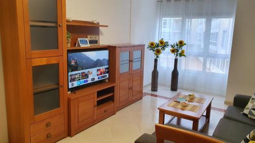 比韦罗Os Castelos Playa de Covas的一间客厅,客厅内配有一台电视,位于一个木制娱乐中心