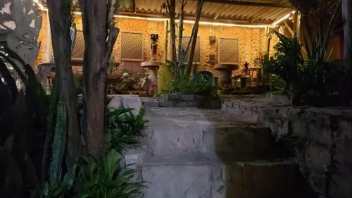 穆库热Pousada Encanto da Roça的楼内有楼梯和植物的房间