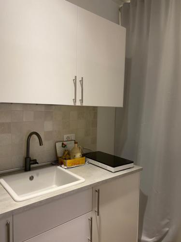 都灵Nice104的厨房柜台配有水槽和白色橱柜