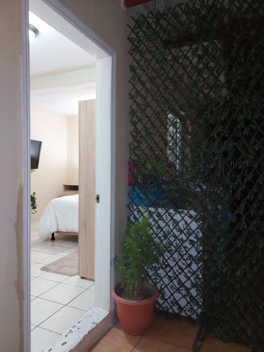 特古西加尔巴Habitación Privada en RESIDENCIAL Villa de Las Hadas的一间玻璃墙客房,里面装有盆栽植物