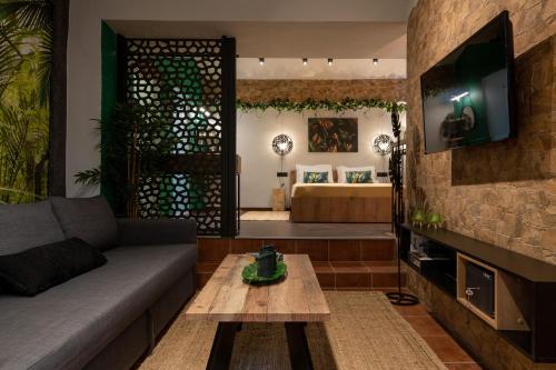 锡米Green Symi Apartment的带沙发和电视的客厅
