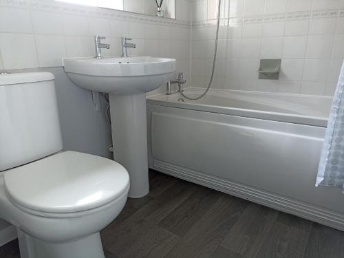 比勒瑞卡Froden Court的浴室配有卫生间、盥洗盆和浴缸。