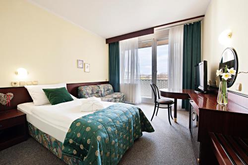 拉登齐拉登齐温泉度假酒店 - 萨瓦度假酒店的配有一张床和一张书桌的酒店客房