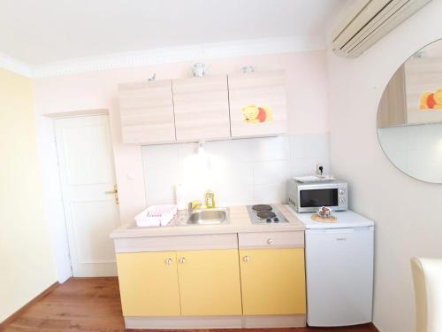 杜布罗夫尼克Apartments Dabar的一间带水槽和微波炉的小厨房