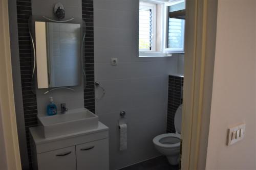 扎达尔Apartman DODO的一间带水槽和卫生间的浴室