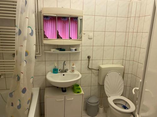 豪伊杜索博斯洛Villa Ani Hajduszoboszlo的一间带卫生间和水槽的小浴室