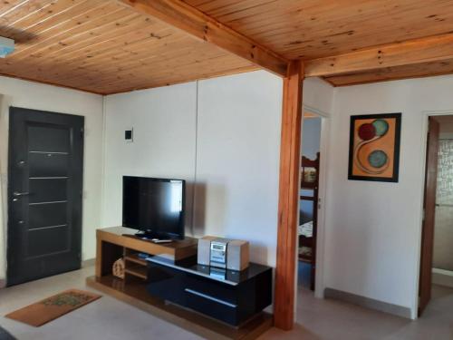 卡薇亚惠Nothofagus的客厅设有平面电视和木制天花板。