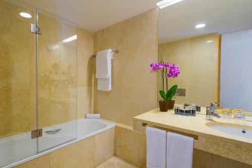 里斯本都市HF菲尼克斯酒店的带浴缸和盥洗盆的浴室