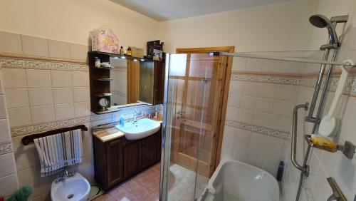 Villar PelliceIndependent chalet with breathtaking view的带淋浴、盥洗盆和卫生间的浴室