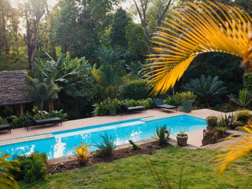 阿鲁沙Sanna Eco Lodge的棕榈树花园中的游泳池