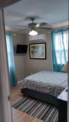 布里奇敦Carmen Apartment的一间卧室配有一张床和吊扇