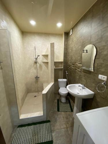 第比利斯Metta Tbilisi Apartment的带淋浴卫生间和盥洗盆的浴室
