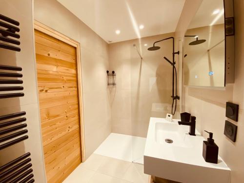 福龙河畔拉罗什Appartement confortable et moderne的一间带水槽和淋浴的浴室