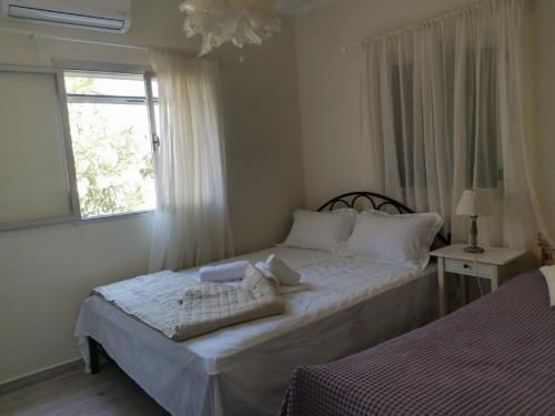 雷夫卡达镇VILLA ANDRIANA的一间卧室设有一张大床和一个窗户。
