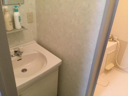 南鱼沼市Homestay Dream - Vacation STAY 2666的一间带水槽和卫生间的浴室