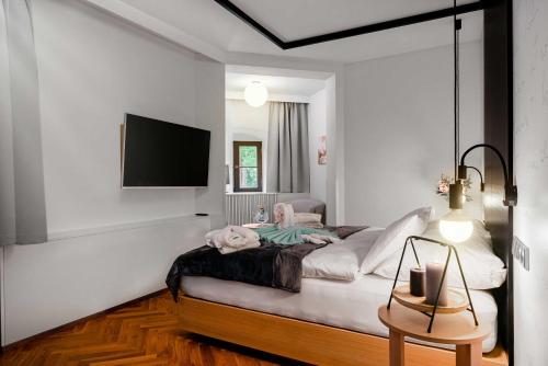 特热什季Zámek Třešť的一间卧室设有一张带平面电视的床。