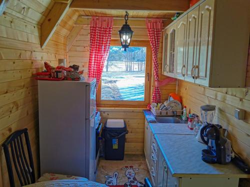 采蒂涅Breeze Home Cottage的带冰箱和窗户的小厨房