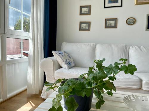 里瓦德奥El Galeón的客厅配有白色沙发和盆栽植物