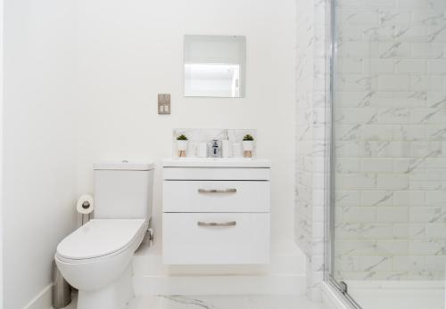 金斯林Modern Apartments in Kings Lynn with Free Wi-Fi的白色的浴室设有卫生间和淋浴。