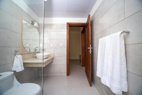 苏莎亚CoralK Apartments Sosúa的一间带卫生间、水槽和镜子的浴室