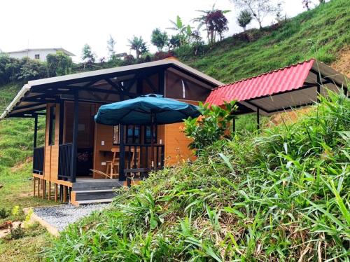 圣拉菲尔Cabaña Glamping Los Canarios San Rafael, Antioquia的山丘上带蓝伞的小房子