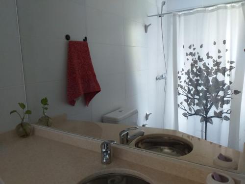 罗萨里奥kira的浴室配有盥洗盆和带镜子的淋浴
