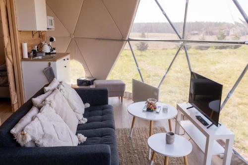 WiosnaWiosna Glamp的带沙发的客厅和帐篷内的电视