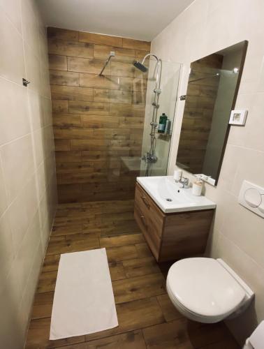 波德戈里察OM Apartment的浴室配有卫生间、盥洗盆和淋浴。