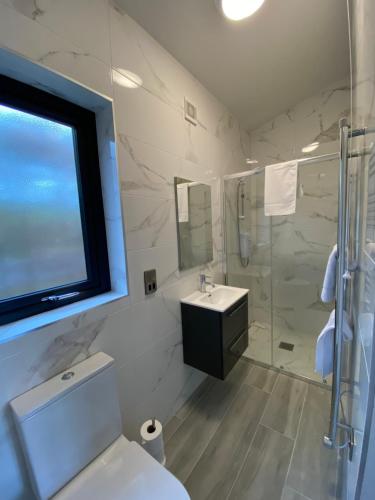 恩尼斯基林Tullybay Holiday Lodges的浴室配有卫生间、盥洗盆和淋浴。