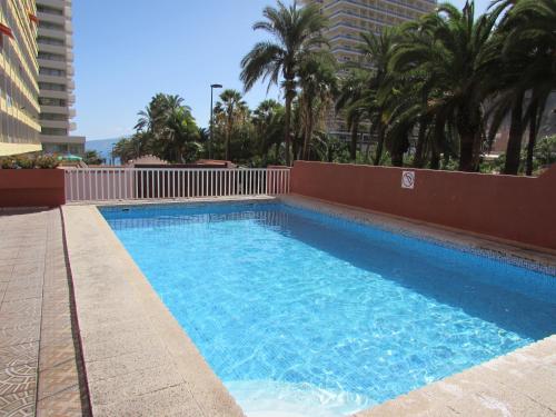 拉克鲁斯阿尔塔公寓式酒店的一座种植了棕榈树和建筑的大型蓝色游泳池